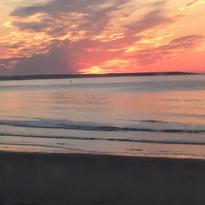 Meet your Posher, Sonia